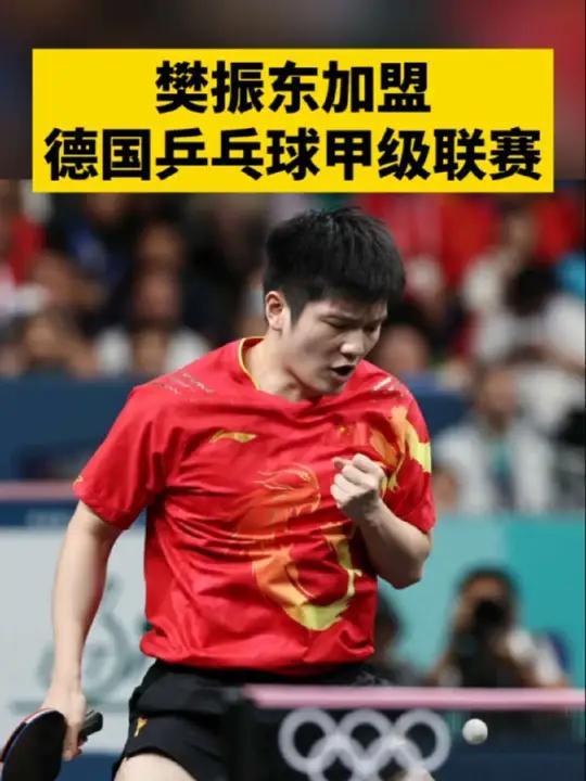 韩国乒乓球队强势德国乒乓球队,樊振东关键制胜 韩国乒乓球队强势德国乒乓球队,樊振东关键制胜