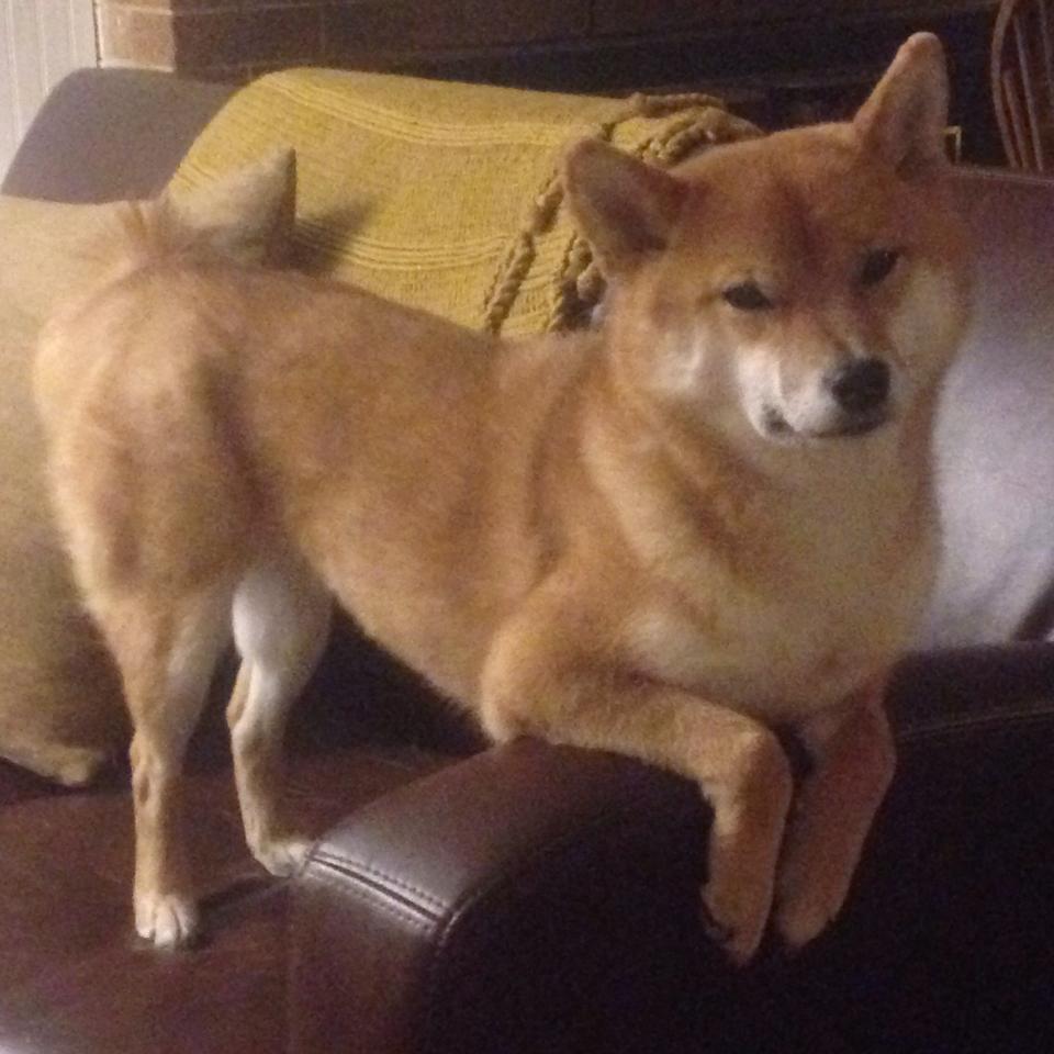 黑色闪电撕破蓝月防线!英超争冠天平倾斜之夜,巴拉圭妖锋让1.2亿防线蒙羞