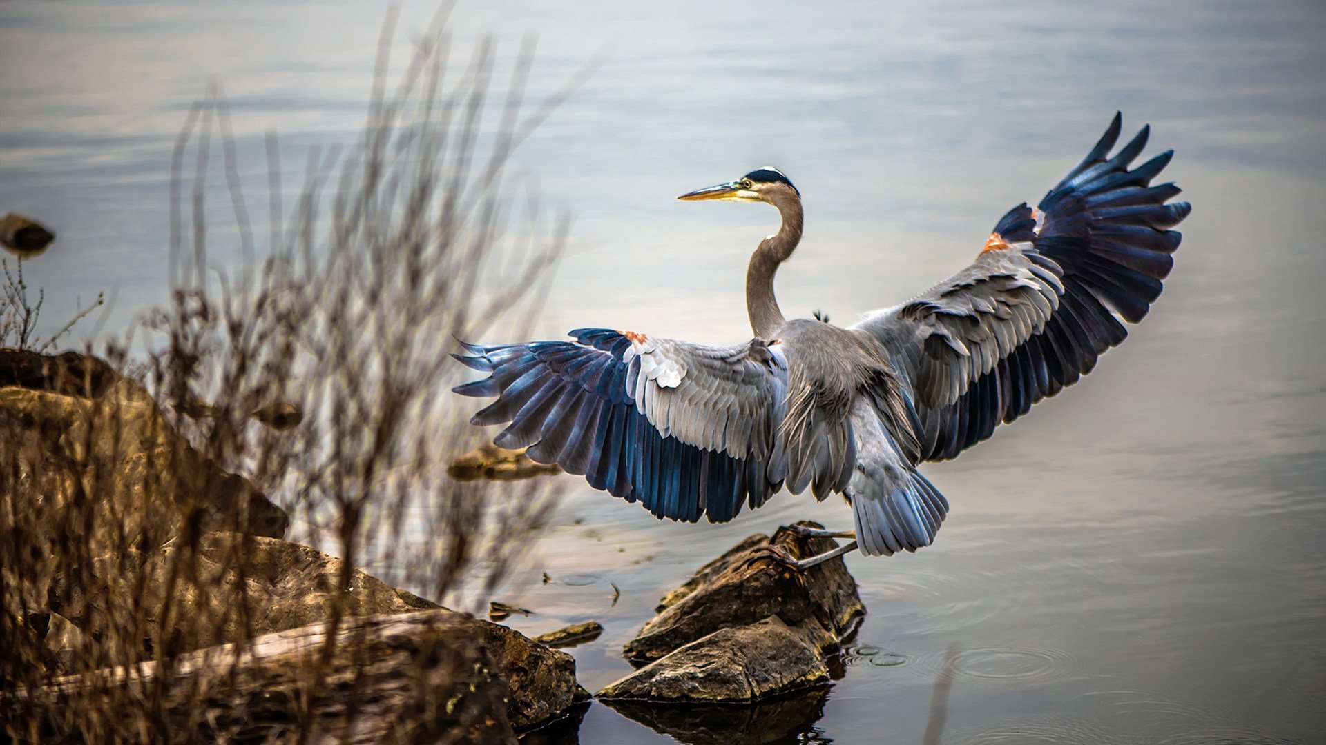 当欧冠级对决降临中超,浙江队技术流完胜,轻取深圳队