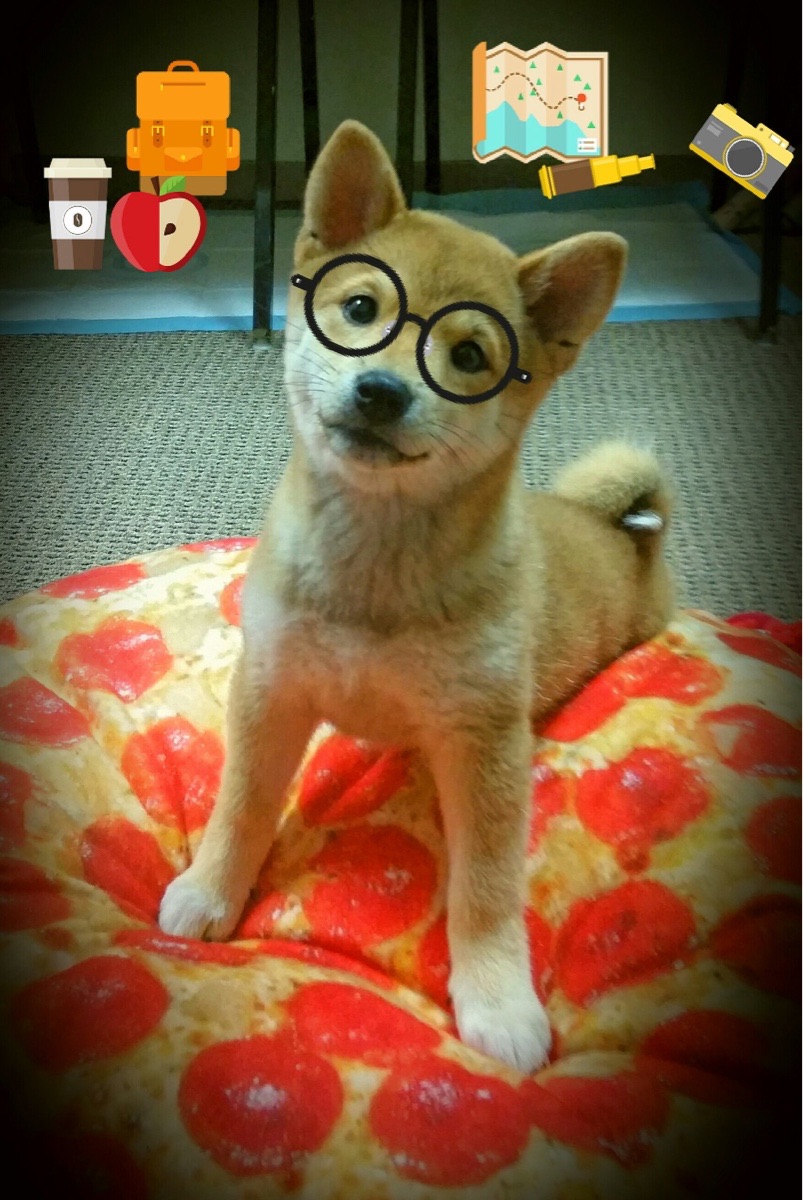 烽火焚城，冰人镇场，爱德华兹全程高能率爵士压哨绝杀热火