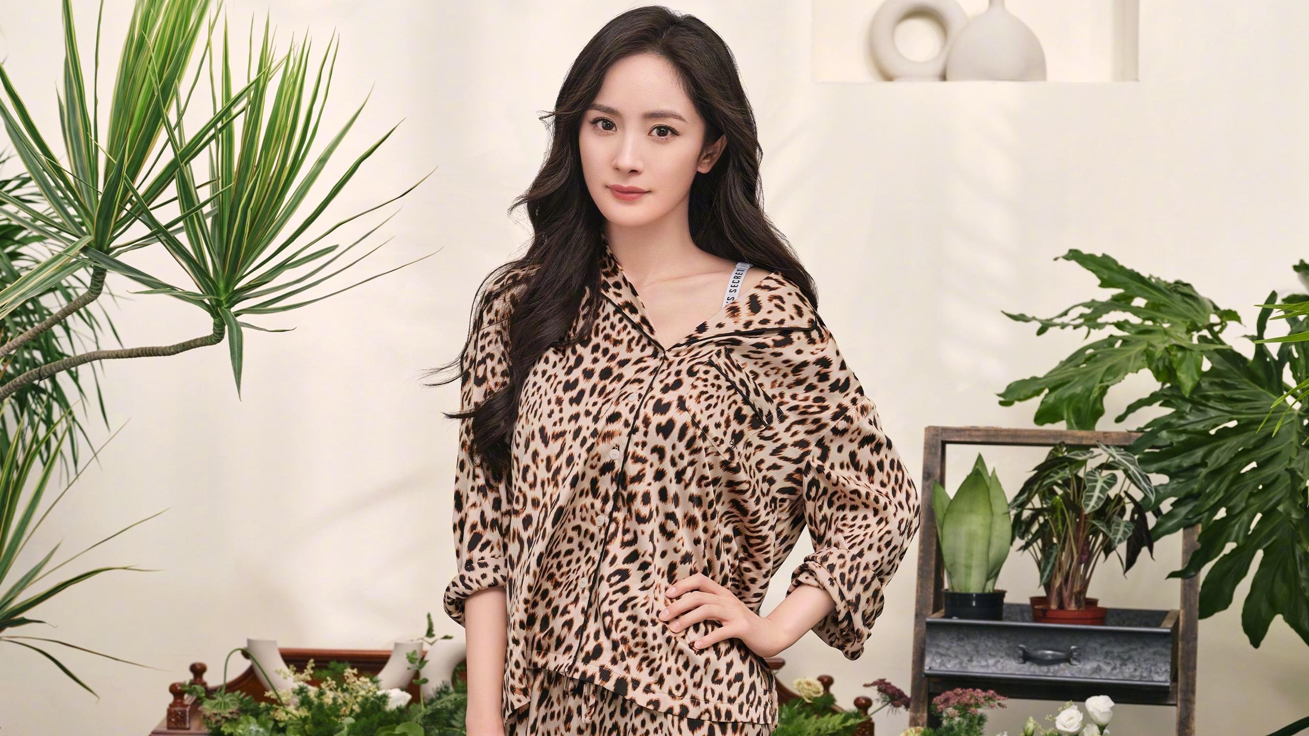 巨星璀璨对决华南虎怒吼，当库里式爆发遇上团队篮球的盛宴