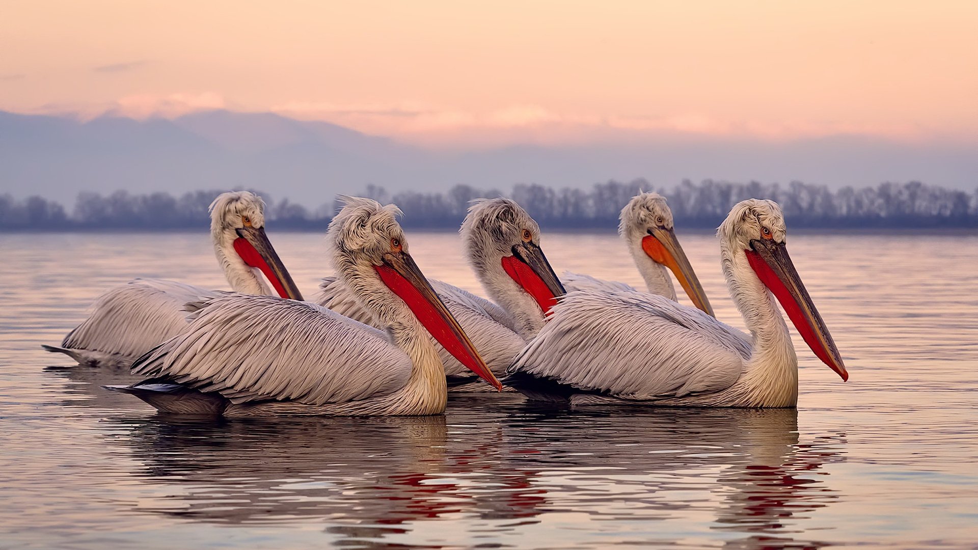 唯一，从0胜到40+詹姆斯用十七年横渡同一条河流
