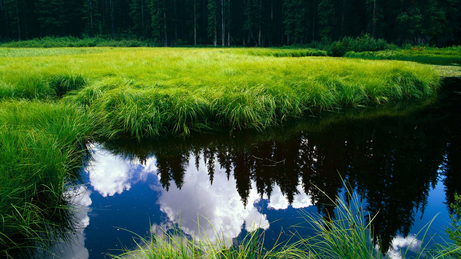 北非时刻，足球绝杀与赛道统治的双重奏