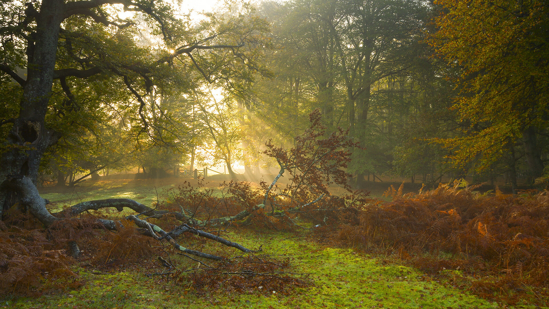 狂胜与荣耀，魔术铁血防守击沉快船，马克西成美加墨世界杯隐形核心