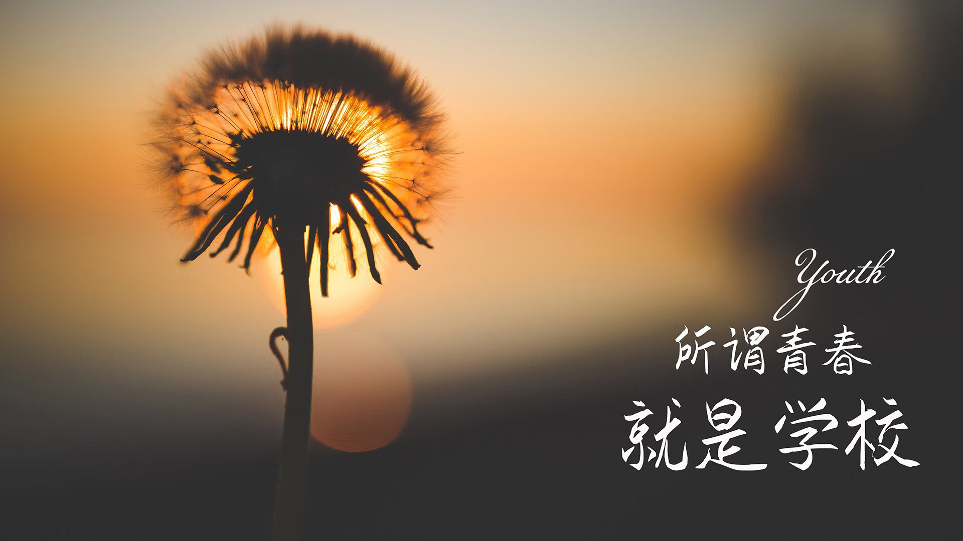沙漠之狮的致命一击,摩洛哥中场铁幕锁死印度,哈兰德绝杀掀翻2026世界杯A组格局