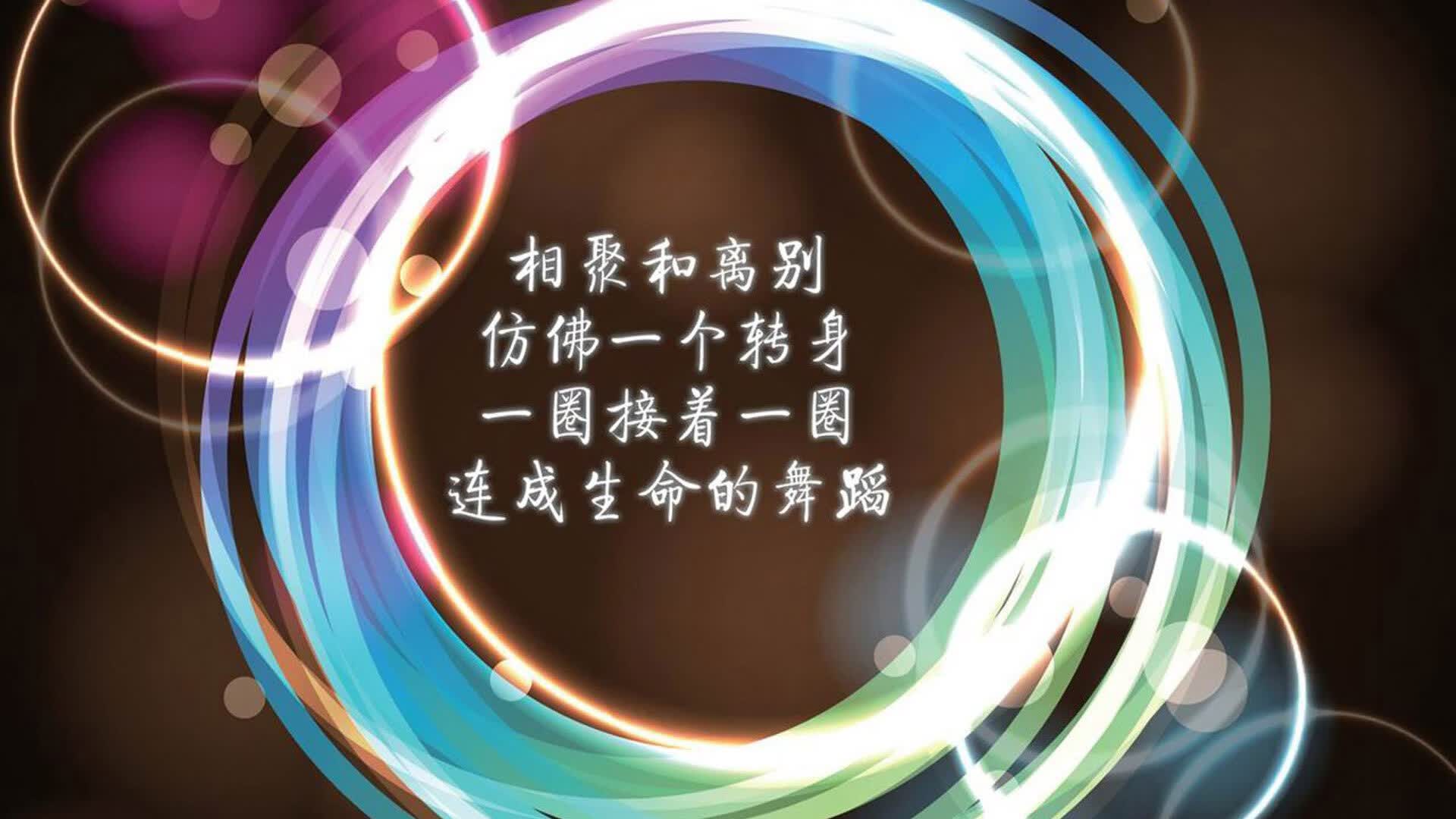 2026世界杯C组焦点战,钢铁防线筑就日耳曼战车,凯恩双响炮德国力克日本